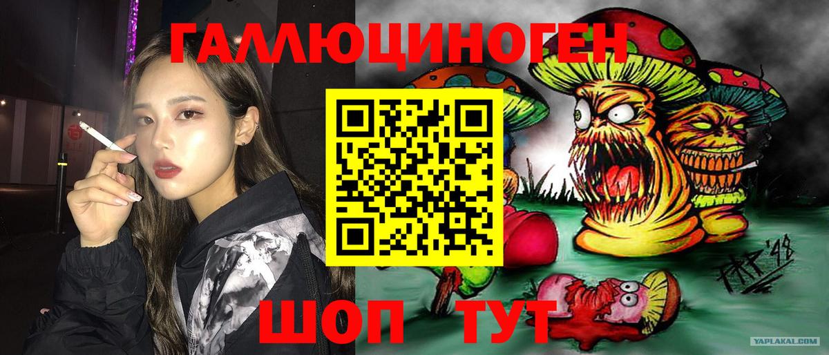 Мытищи  Галлюциногенные грибы GOLDEN TEACHER  где продают наркотики  Вход с VPN 